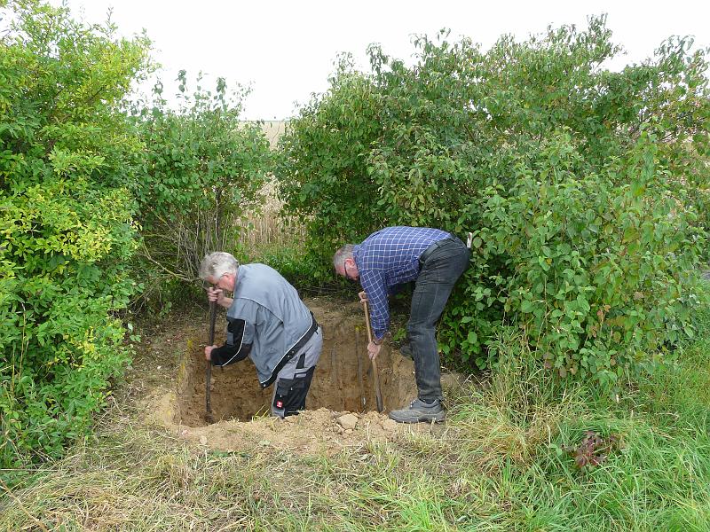 Kunstwerk 2011-0019.JPG